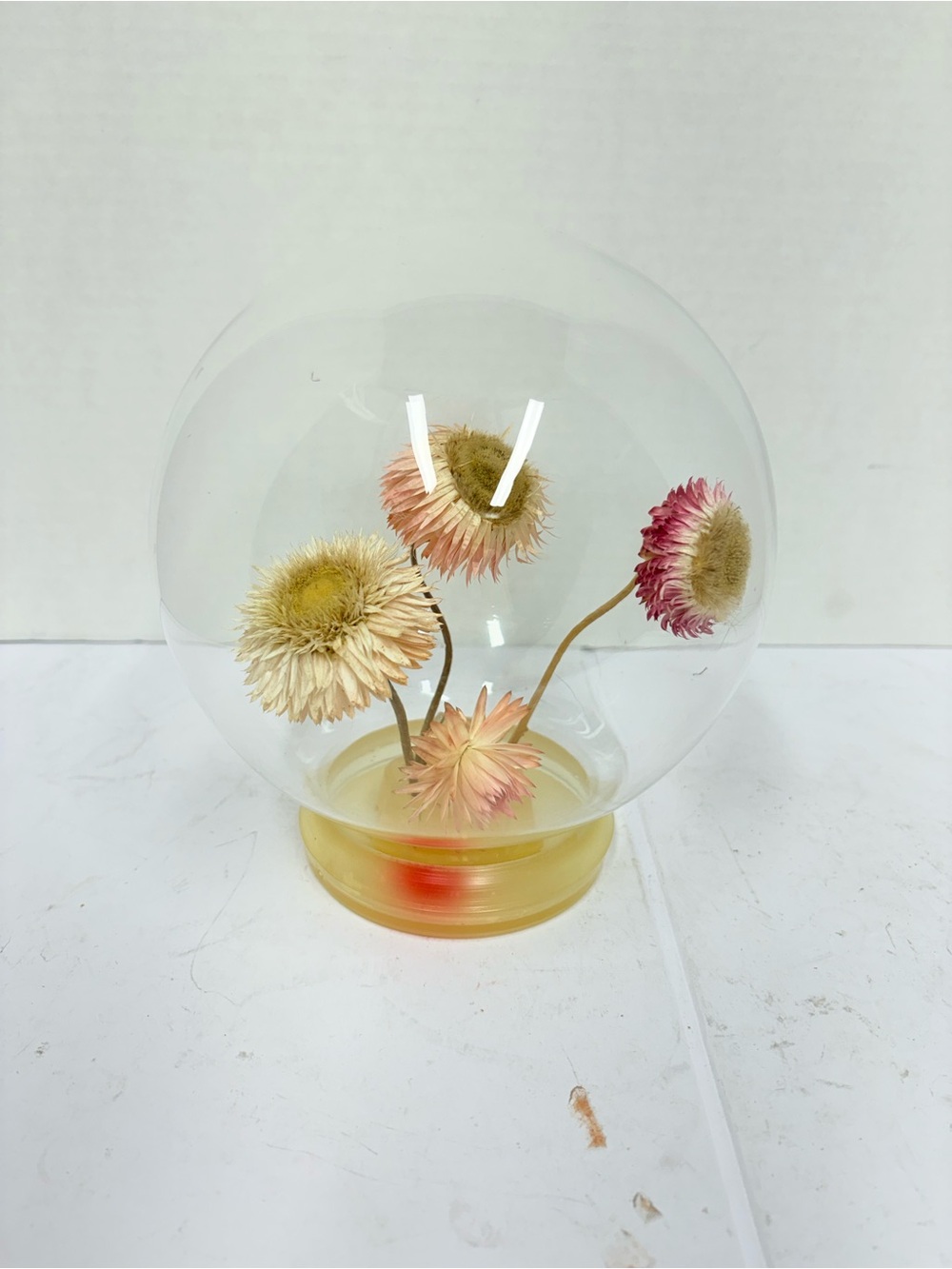 Vintage Glass Floral Display Dome